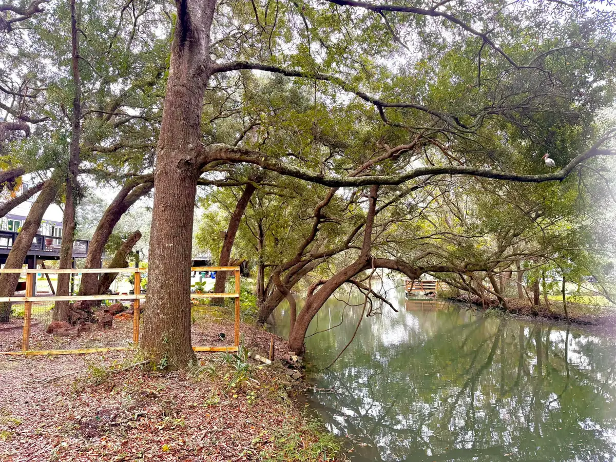 1578 Periwinkle Drive, Mount Pleasant, SC 29466 - #1