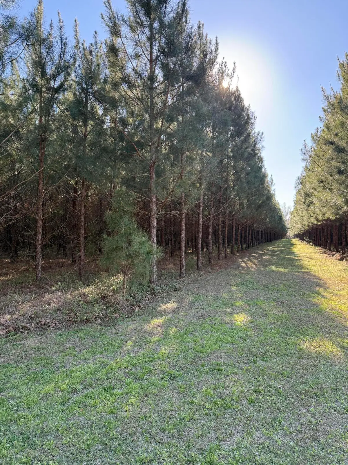 0 Polk Road, Islandton, SC 29929 - #1