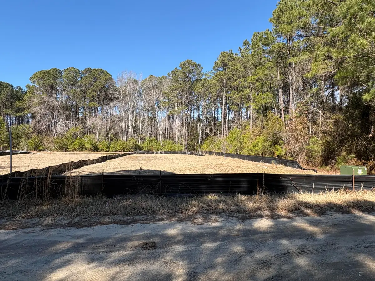 3864 Abe White Road, Awendaw, SC 29429 - #1