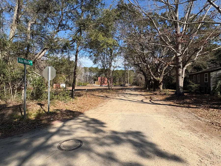 3864 Abe White Road, Awendaw, SC 29429 - #2