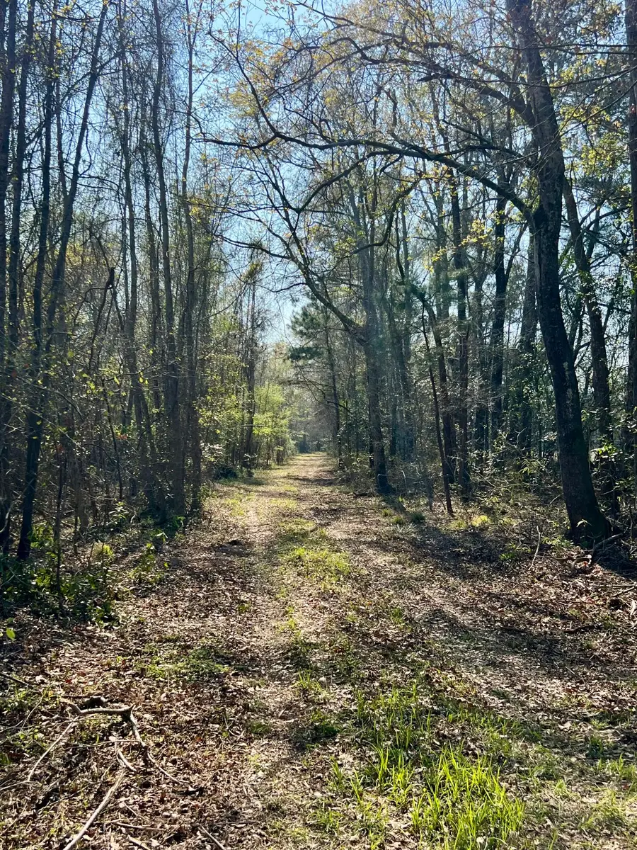 1 Westbury Road, Saint George, SC 29477 - #2