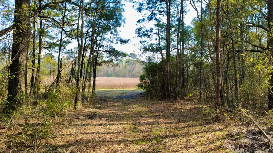 1 Westbury Road, Saint George, SC 29477 - #3