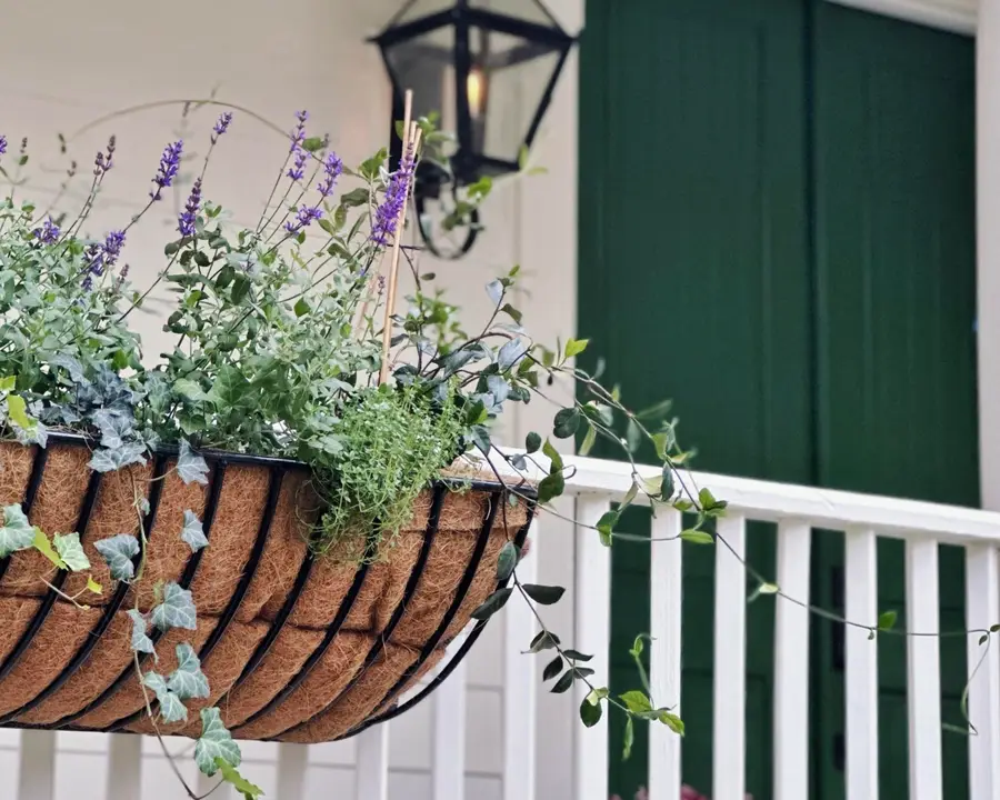 2431 Settlers Street, Charleston, SC 29492 - #2