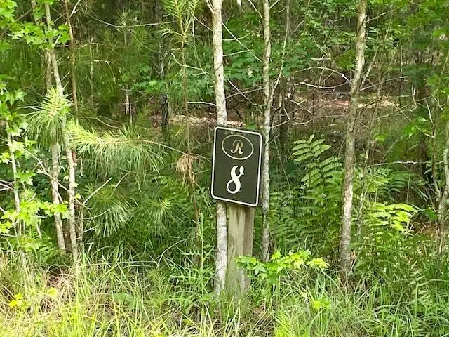 6301 Buttonbush Drive #Lot 8, Ravenel, SC 29470 - #3