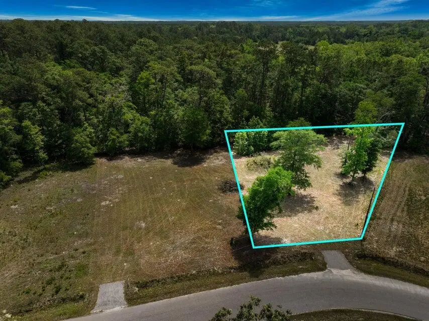 00 Capers Road, Walterboro, SC 29488 - #2