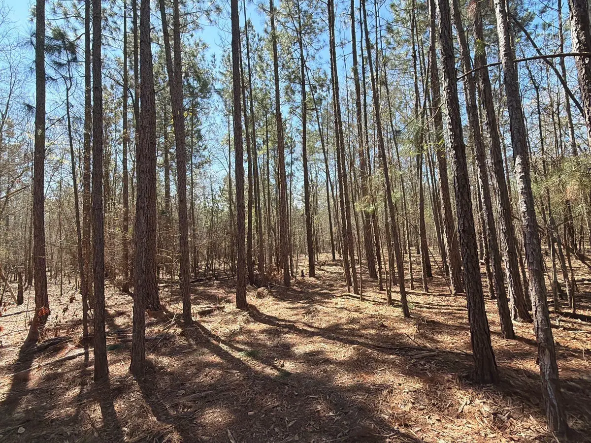 Bhl 10 Boise Cascade #Bhl 10, Bethune, SC 29009 - #1