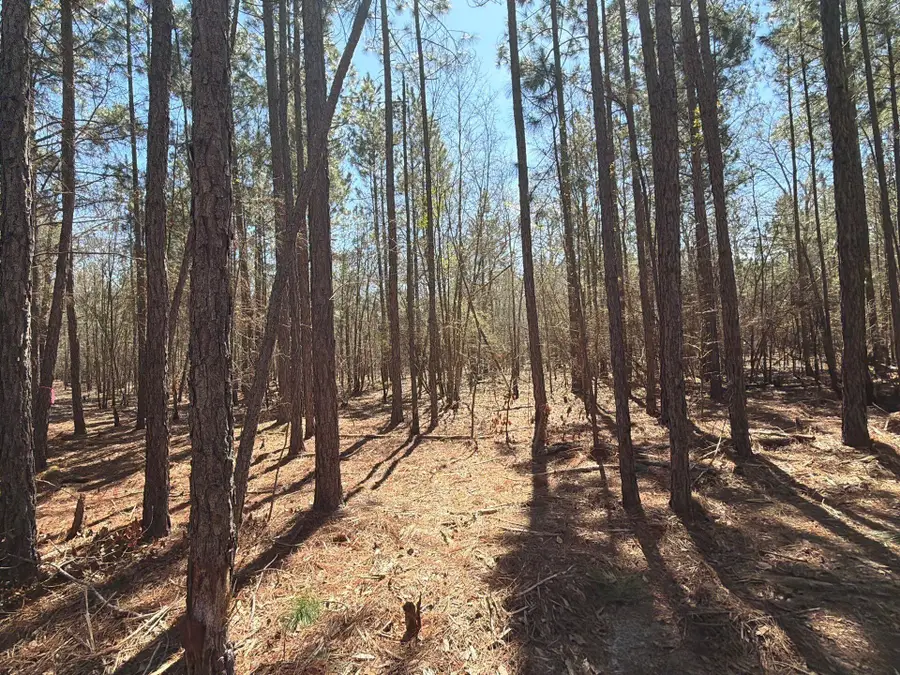 Bhl 10 Boise Cascade #Bhl 10, Bethune, SC 29009 - #3