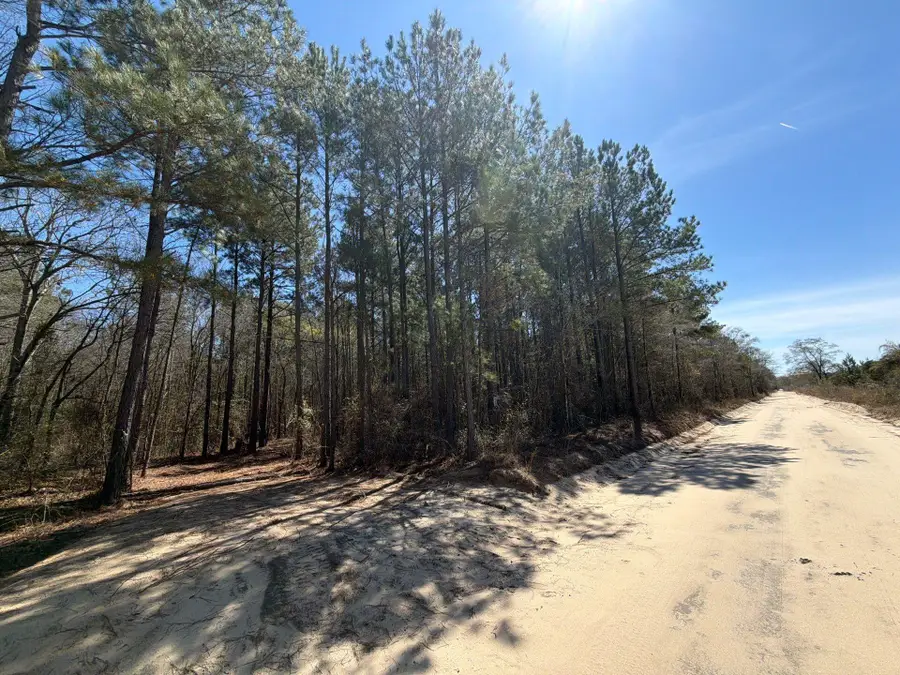 Bhl 11 Boise Cascade #Bhl 11, Bethune, SC 29009 - #3