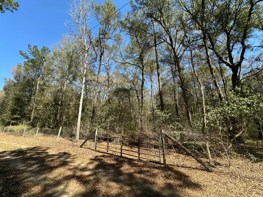 5194 Kuzia Road, Meggett, SC 29449 - #2