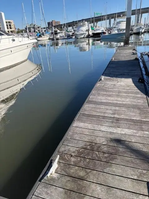 33 Lockwood Drive #Slip Lu142, Charleston, SC 29401 - #3