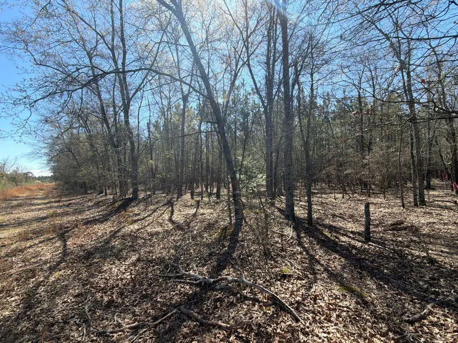 Bhl 12 Boise Cascade #Bhl 12, Bethune, SC 29009 - #2