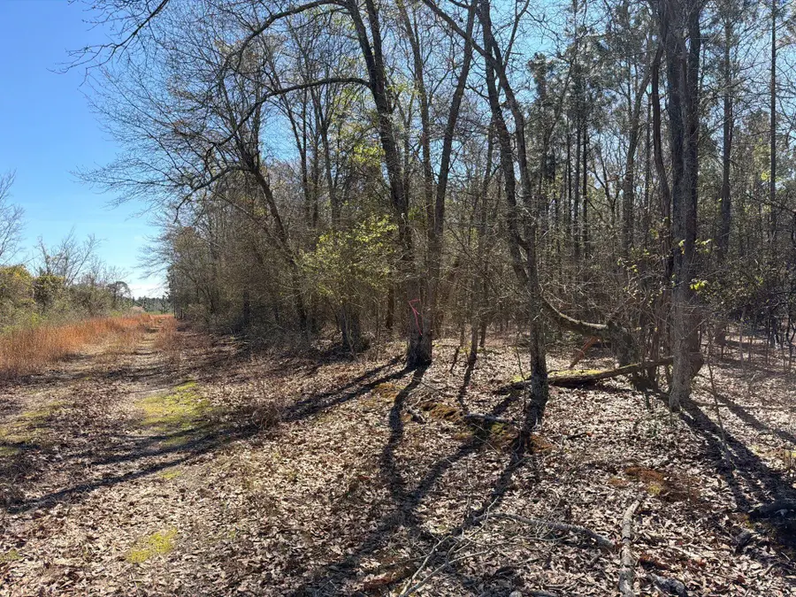 Bhl 12 Boise Cascade #Bhl 12, Bethune, SC 29009 - #3