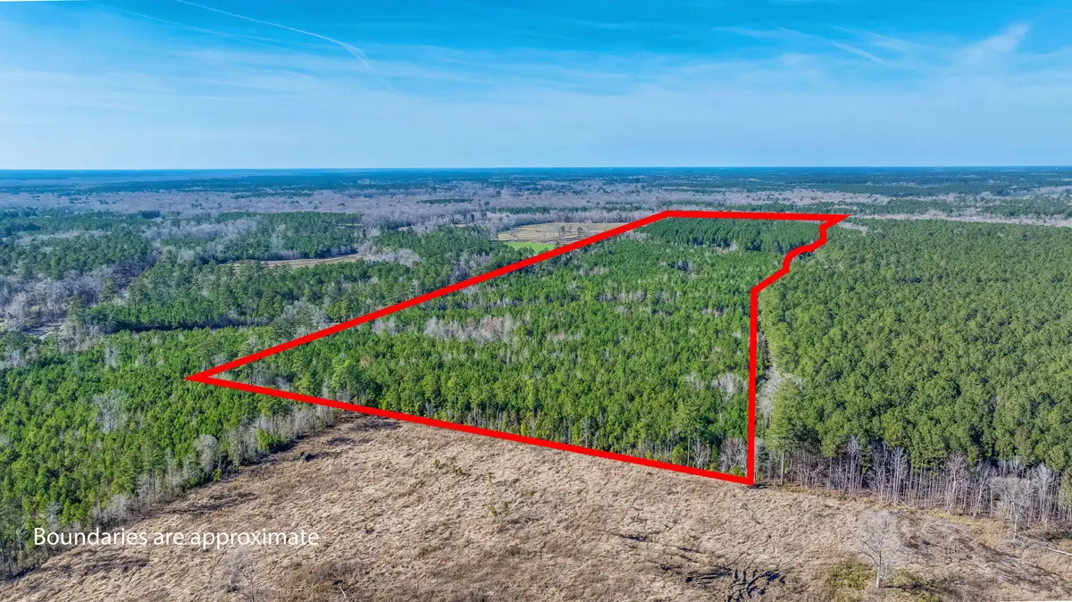 0 Lowcountry Highway, Ruffin, SC 29475 - #1