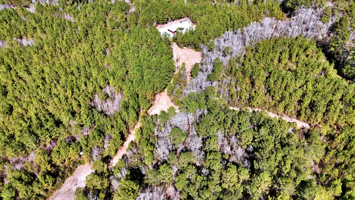 1837 Columbus Road, Georgetown, SC 29440 - #1