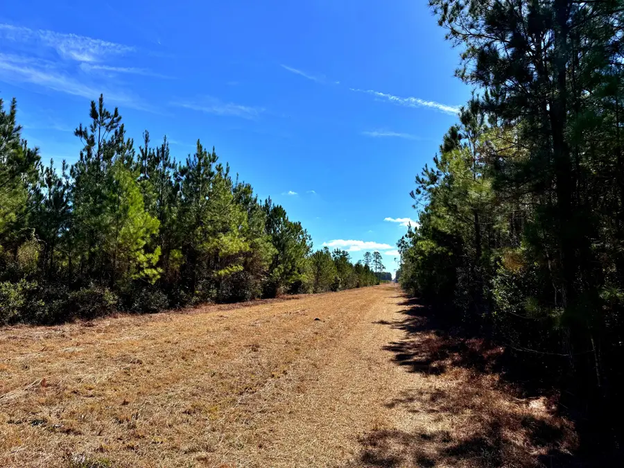 1837 Columbus Road, Georgetown, SC 29440 - #2