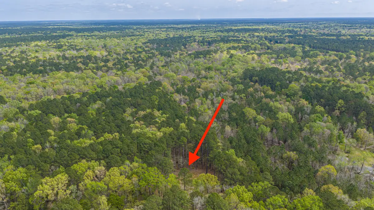 0 Busters Paradise Lane, Cordesville, SC 29434 - #1