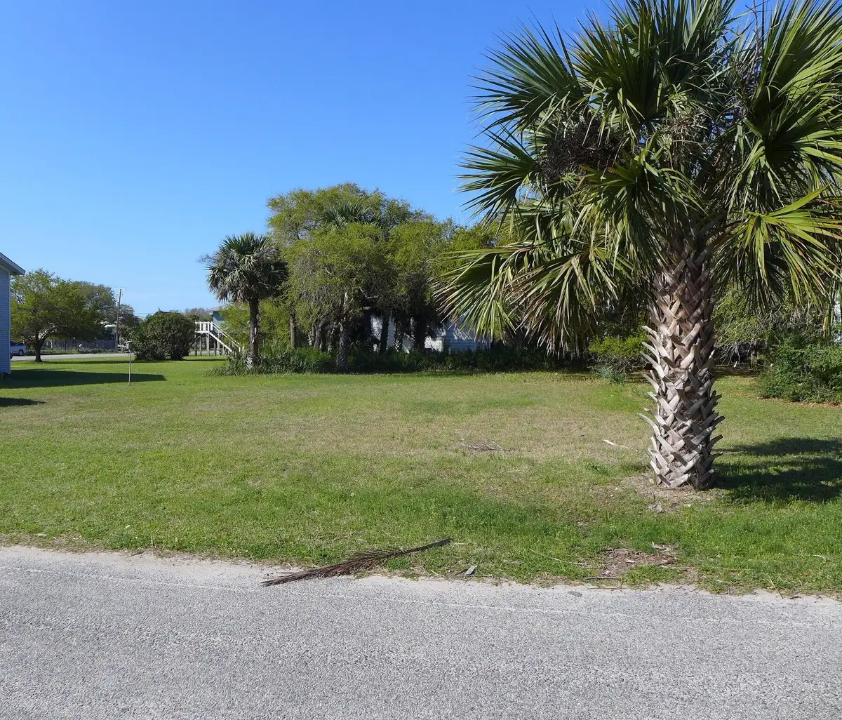 2404 Murray Street, Edisto Island, SC 29438 - #1