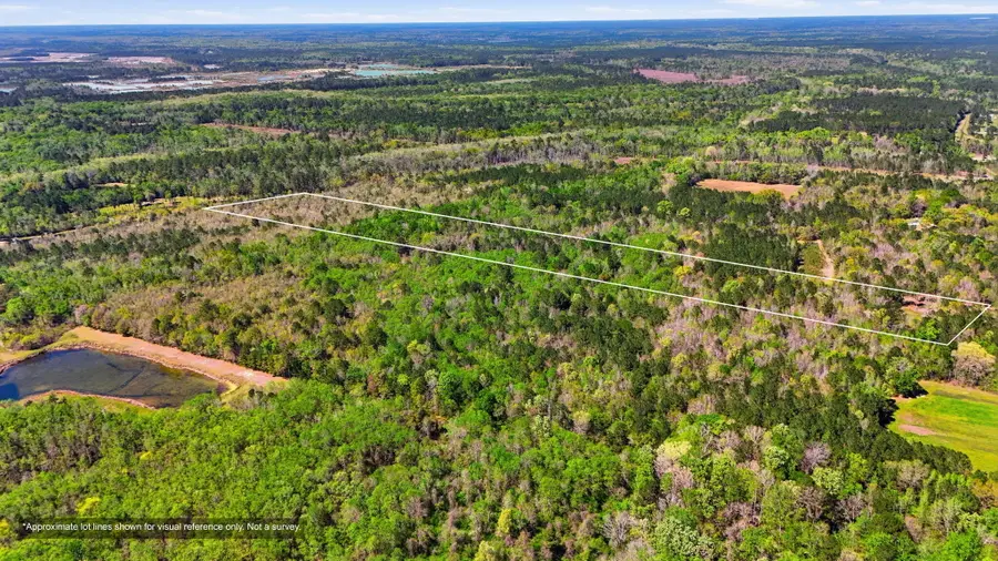 0 Old Beech Hill Road, Ridgeville, SC 29472 - #3