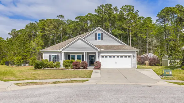 6030 Rainbow Trout Drive, Johns Island, SC 29455