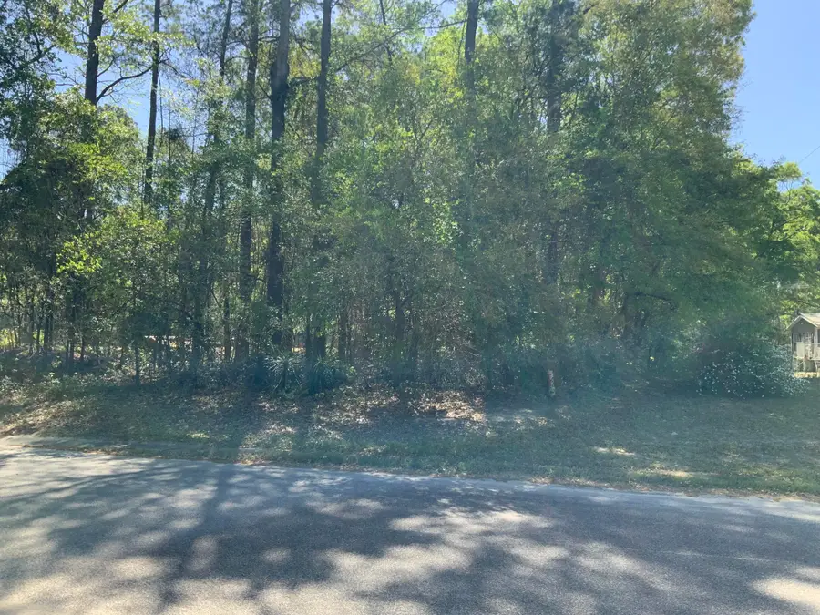 0 Ash Hill Drive, Eutawville, SC 29048 - #2