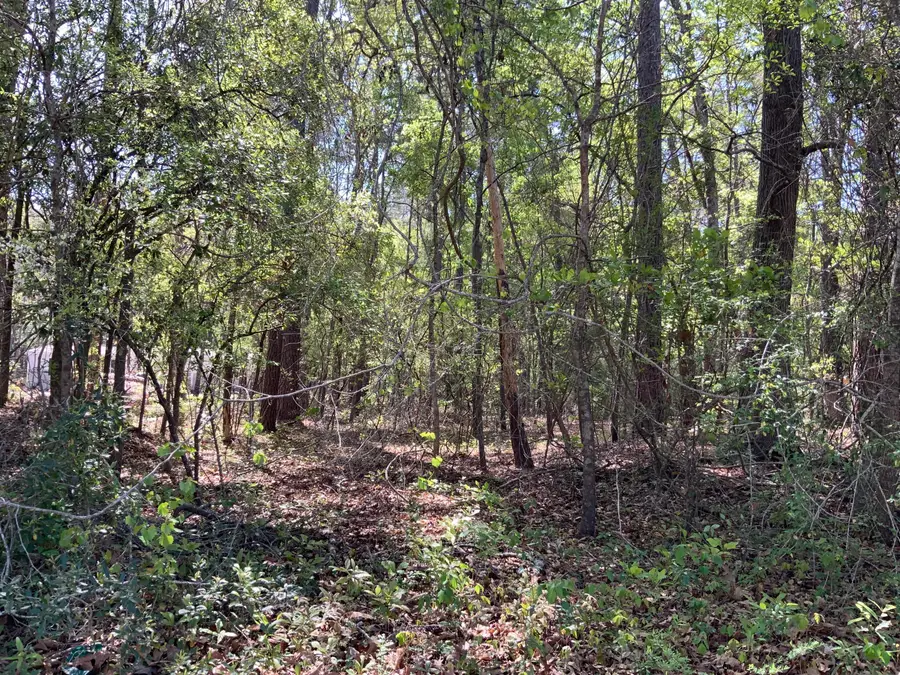 0 Ash Hill Drive, Eutawville, SC 29048 - #3