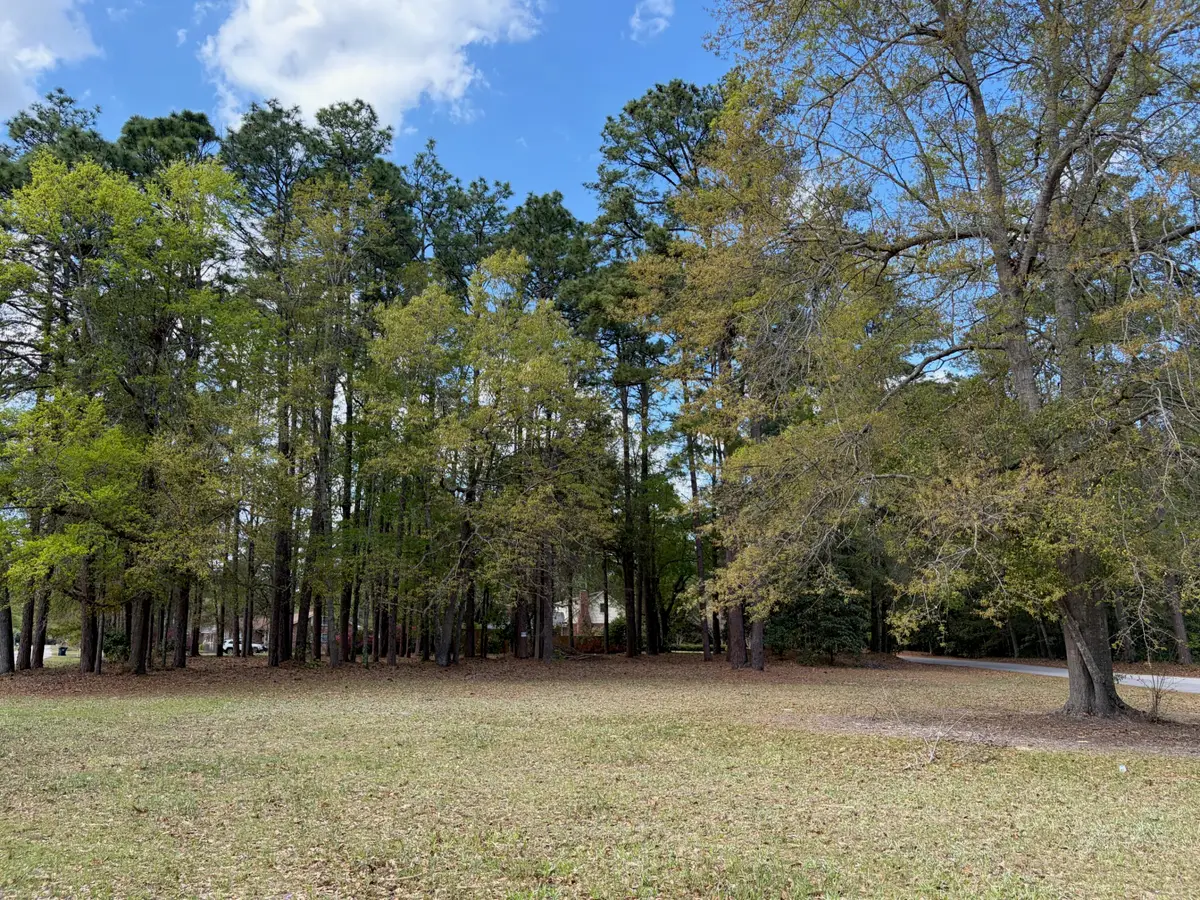 0 Otis Rd. & Longleaf Drive, Walterboro, SC 29488 - #1