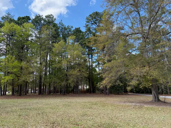0 Otis Rd. & Longleaf Drive, Walterboro, SC 29488