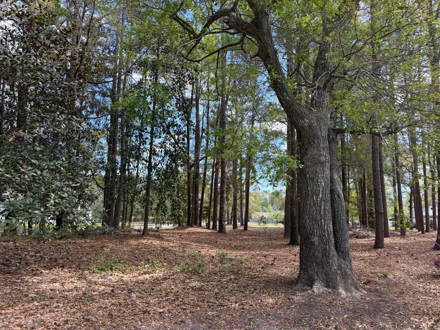 0 Otis Rd. & Longleaf Drive, Walterboro, SC 29488 - #3