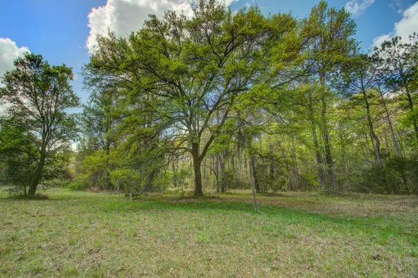 5865 Octavia, Ravenel, SC 29470