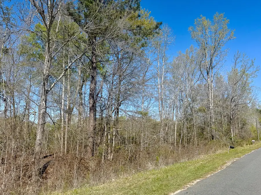 0 S Locust Avenue, Denmark, SC 29042 - #2