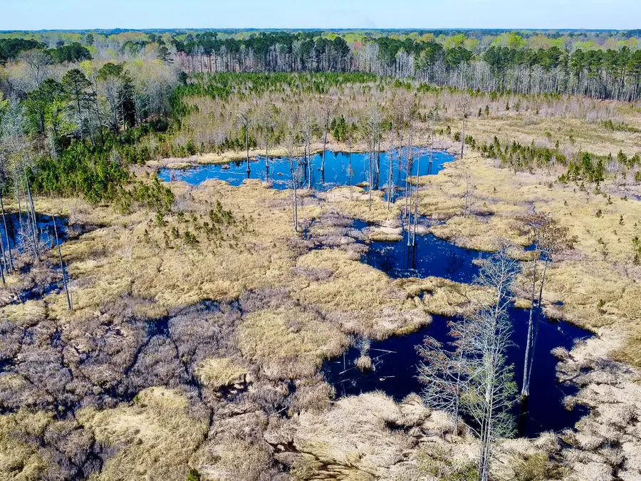 0 S Locust Avenue, Denmark, SC 29042 - #3