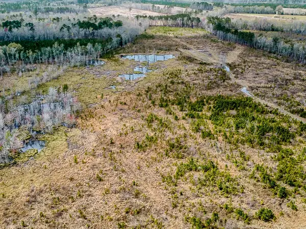 0 S Locust Avenue, Denmark, SC 29042