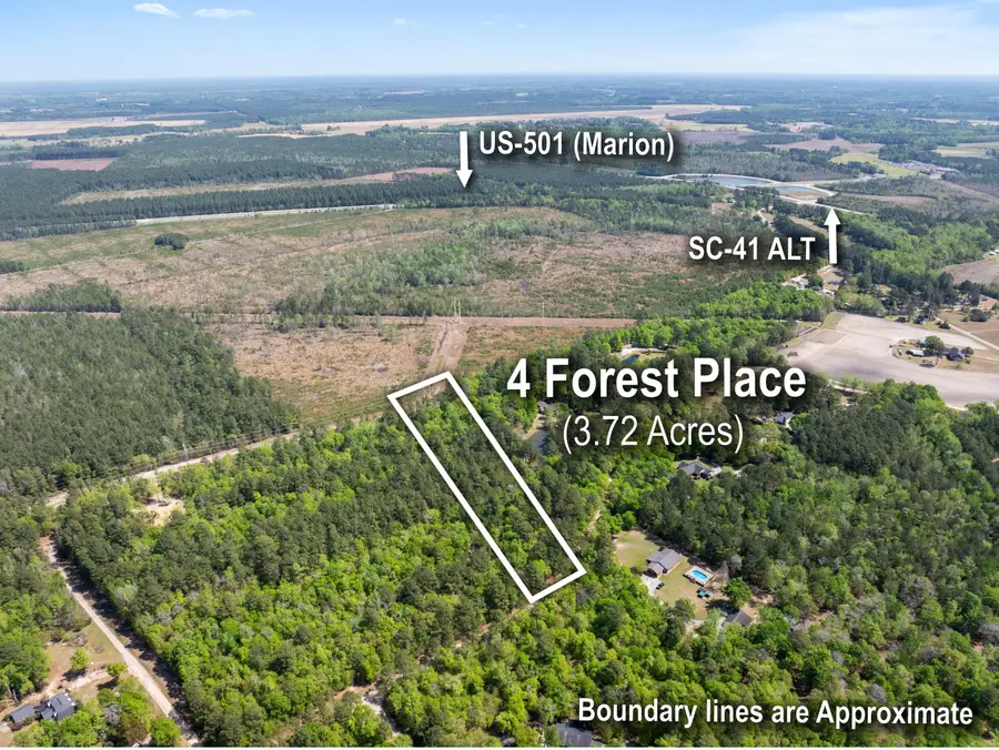 4 Forest Place, Marion, SC 29571 - #2