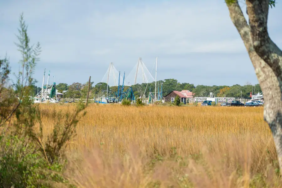 212 Live Oak Drive, Mount Pleasant, SC 29464 - #2