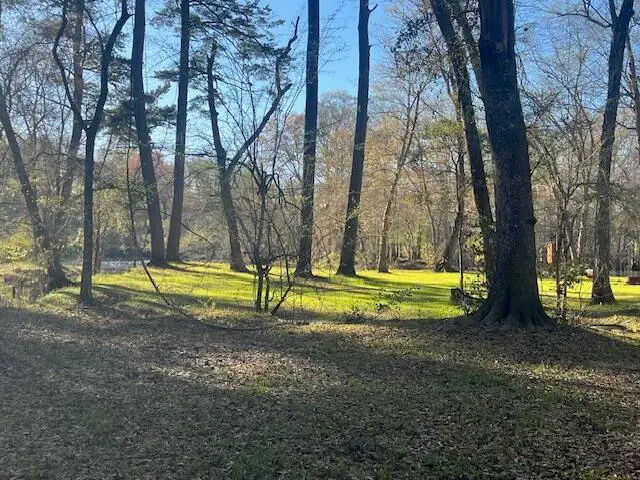 41 Mendel Court, Round O, SC 29474 - #2