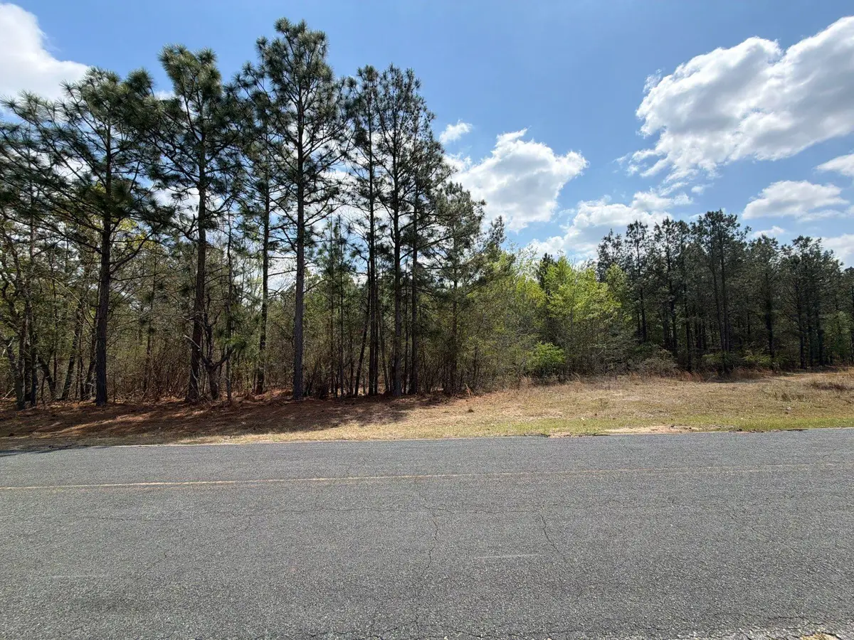 Cva 2 Mt. Calvary Road #Cva 2, Ridge Spring, SC 29129 - #1