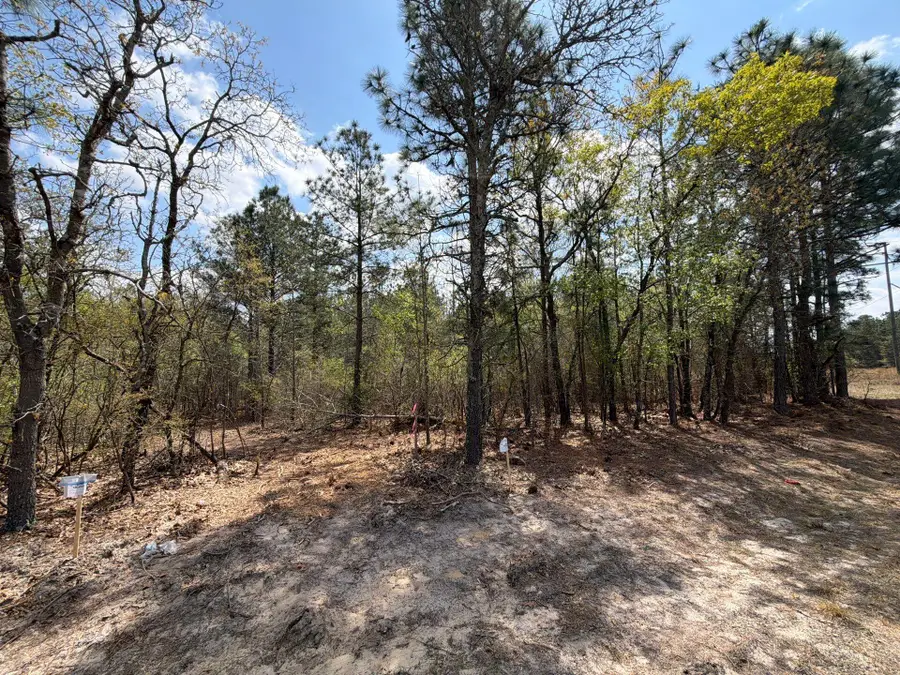 Cva 2 Mt. Calvary Road #Cva 2, Ridge Spring, SC 29129 - #3