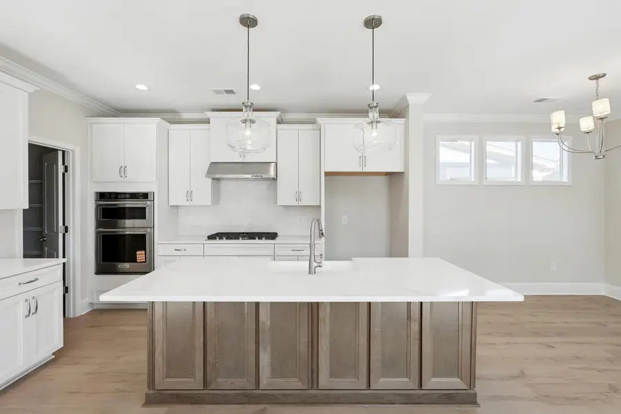 244 Newsday Street, Charleston, SC 29492 - #3