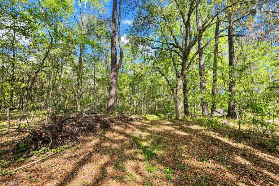 0 Highway 45, Cross, SC 29436 - #2