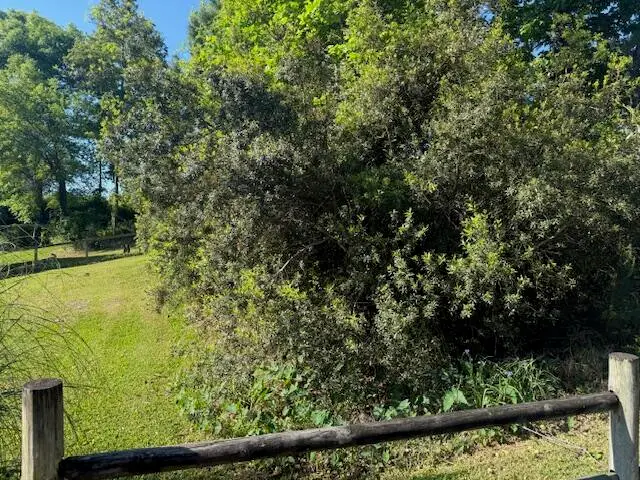 928 Valley Street, Hanahan, SC 29410 - #3