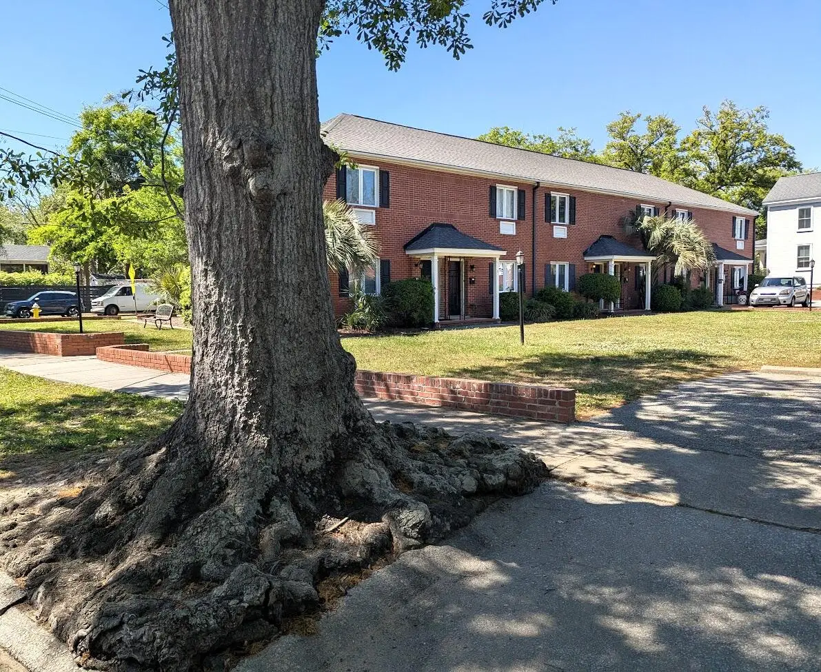 21 Hester Street #8, Charleston, SC 29403 - #1