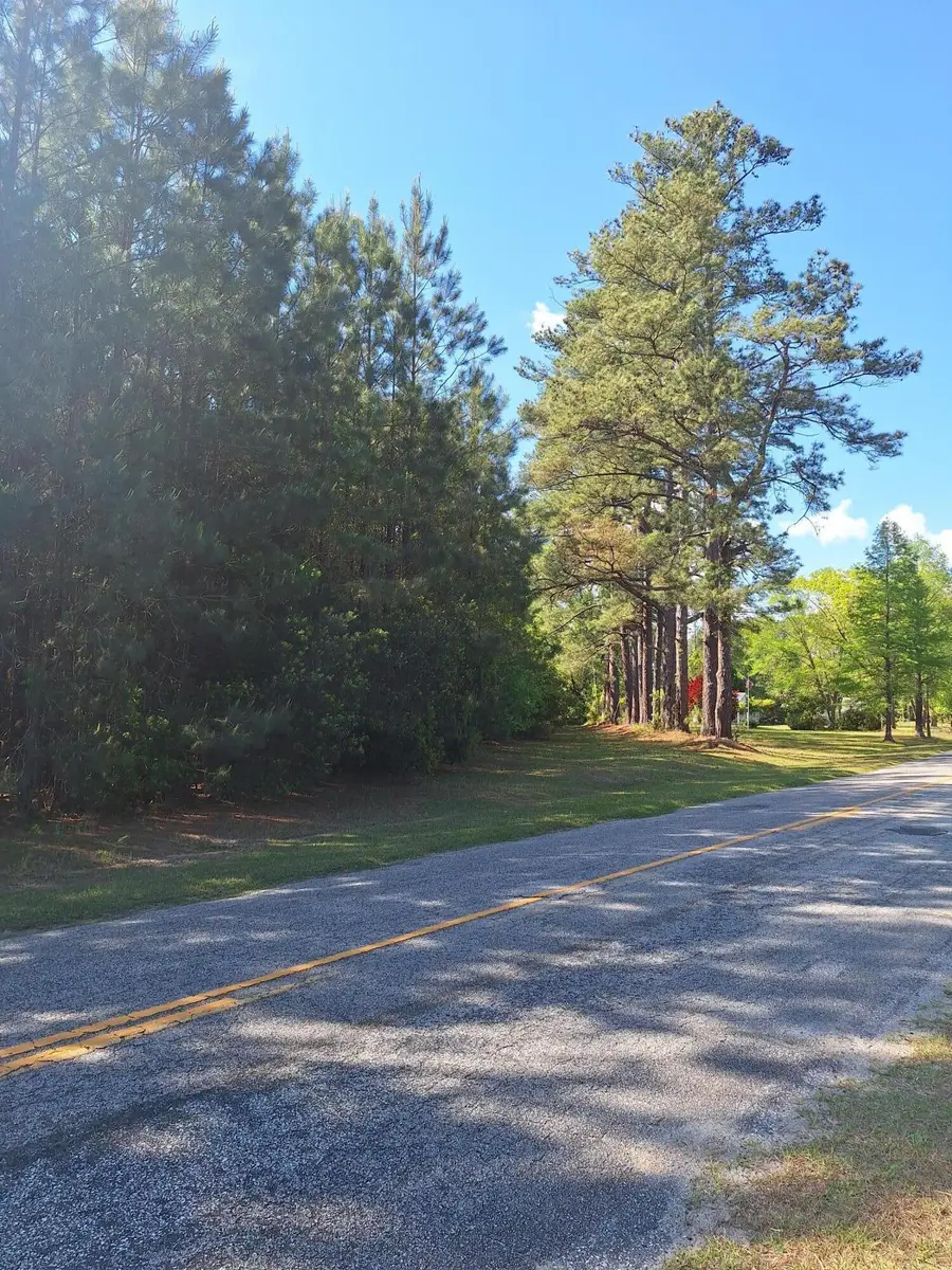 0 Lebanon Road, Ridgeville, SC 29472 - #2