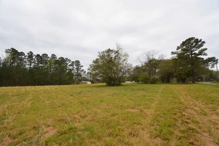 0 Morrisville Road, Andrews, SC 29510 - #2