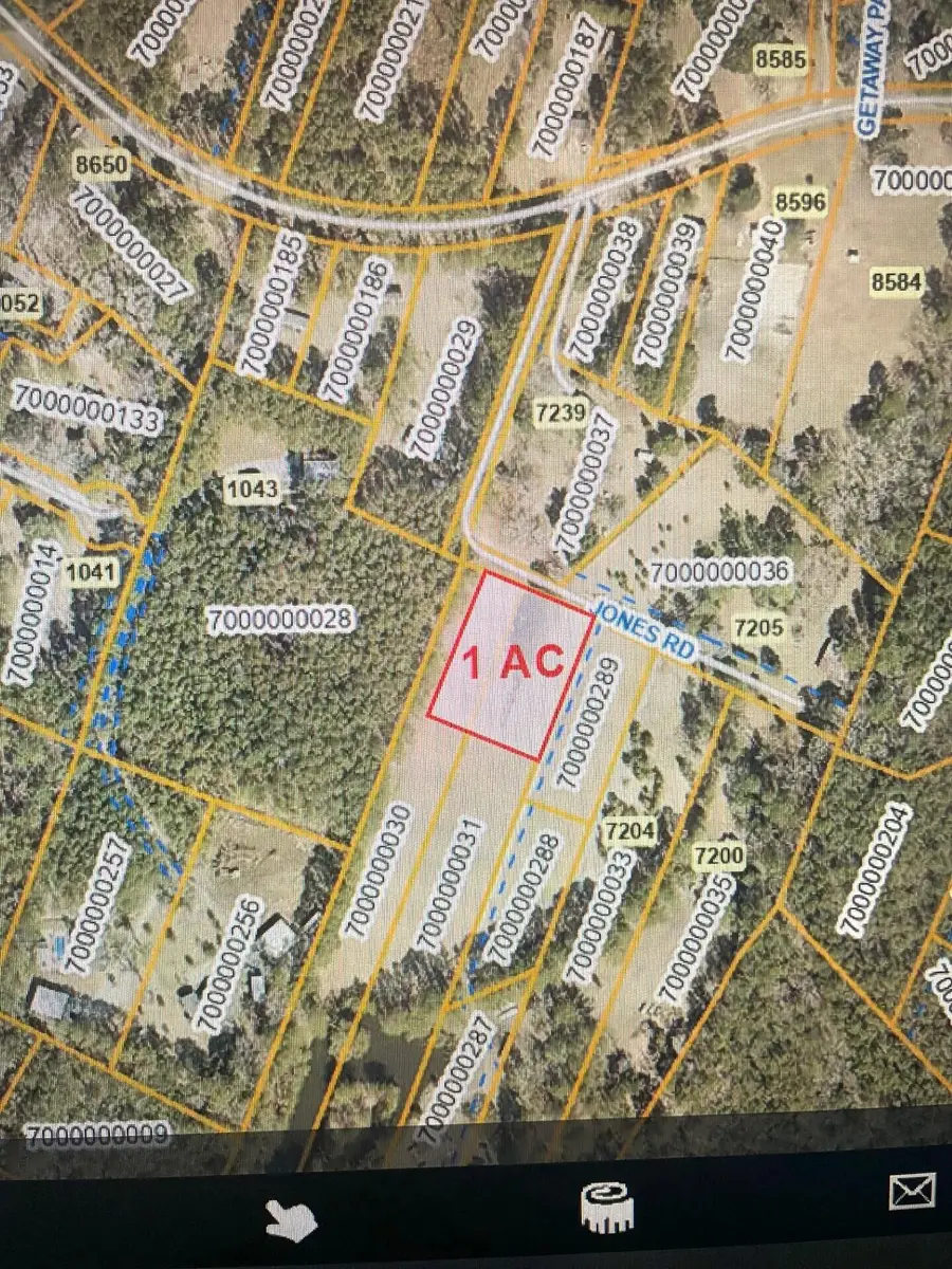 7246 Jones Road, Awendaw, SC 29429 - #2