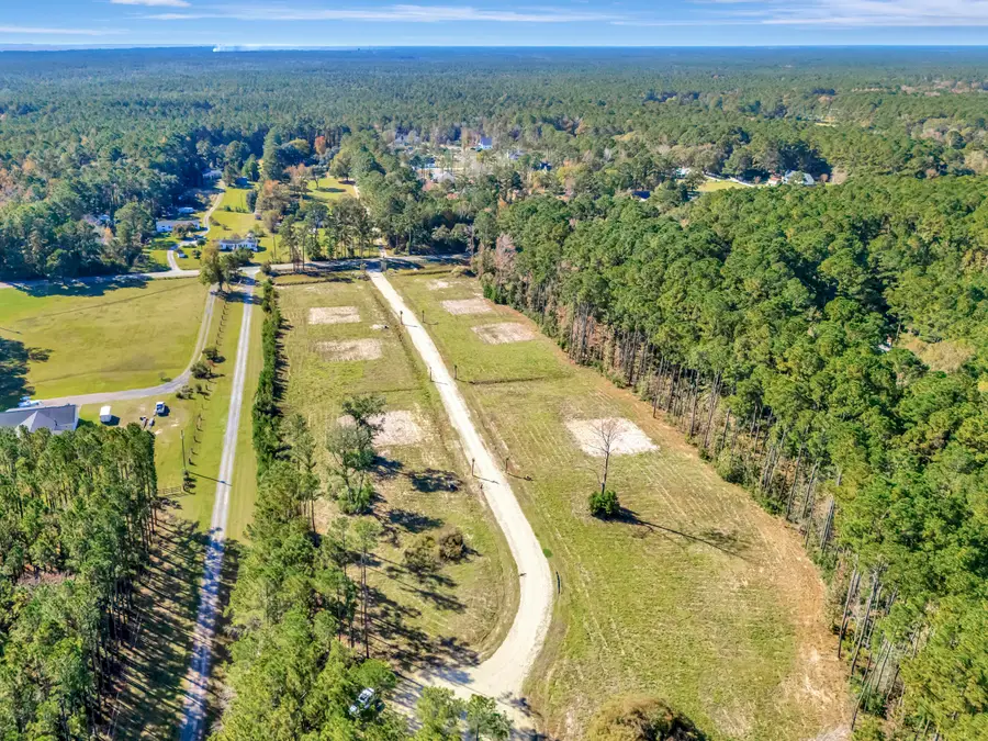 3015 Doar Creek Trail, Awendaw, SC 29429 - #3