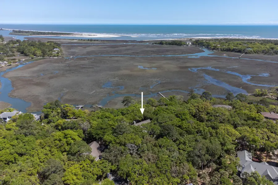 2290 Marsh Hen Drive, Seabrook Island, SC 29455 - #3