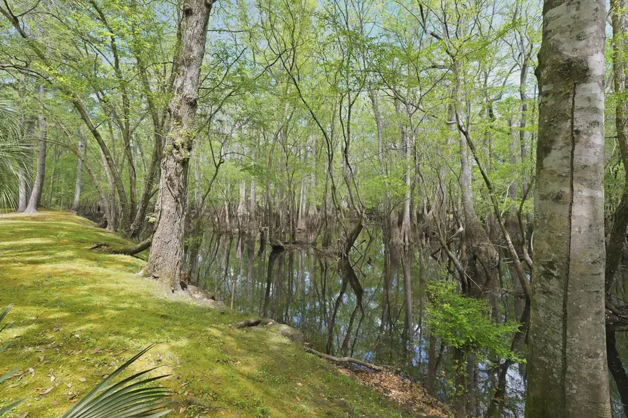 150 Franks Lane, Ridgeville, SC 29472 - #3