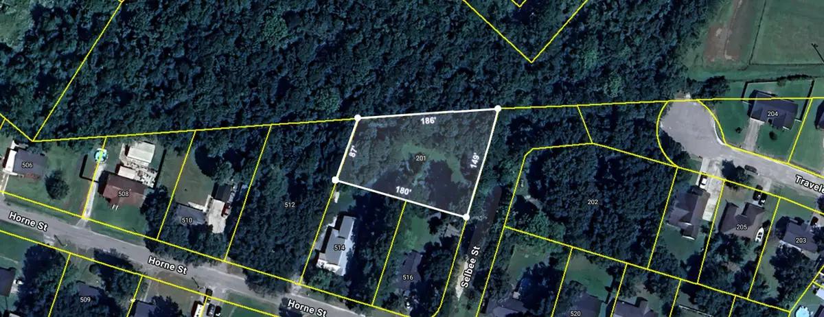 201 Selbee Street, Moncks Corner, SC 29461 - #1