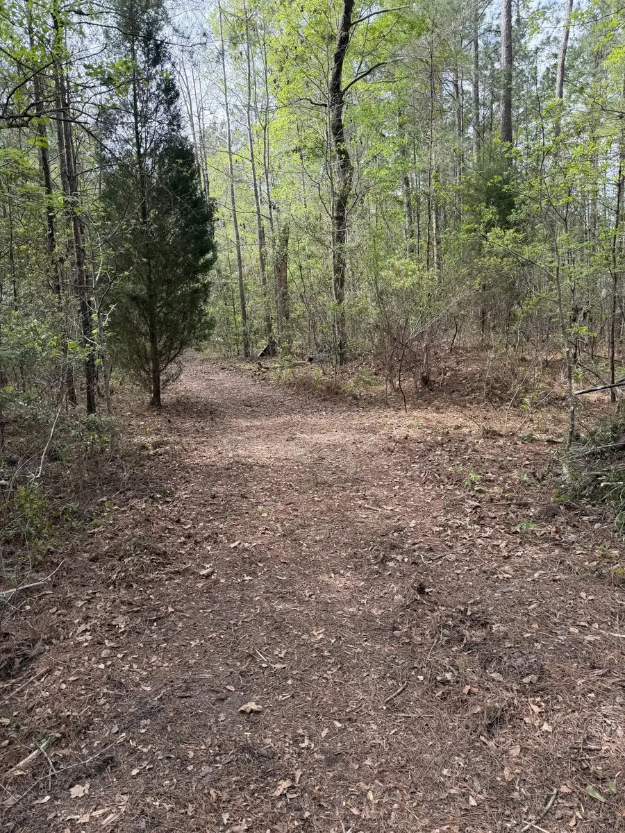 200 Yearling Drive, Summerville, SC 29486 - #2