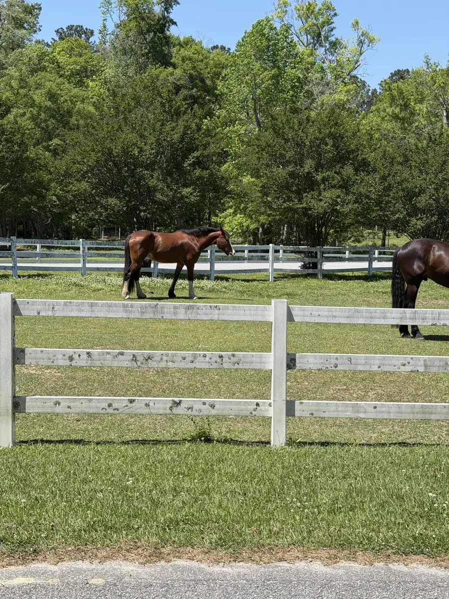 200 Yearling Drive, Summerville, SC 29486 - #3